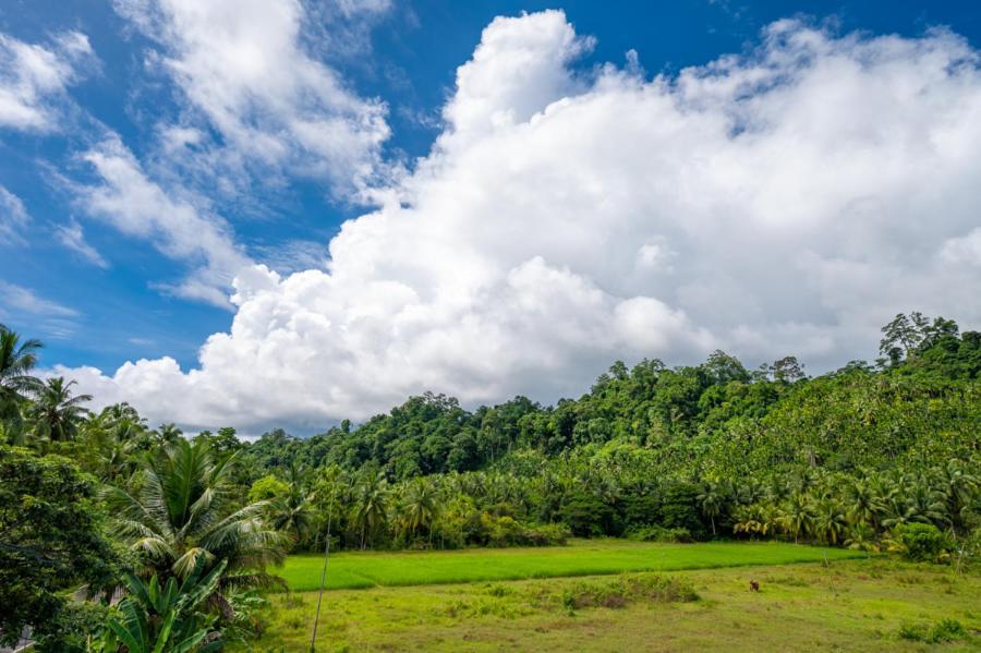Anibesh Hotel เกาะแฮฟล็อค ภายนอก รูปภาพ